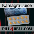 Kamagra Juice 44